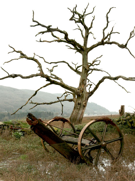 porlocktree
