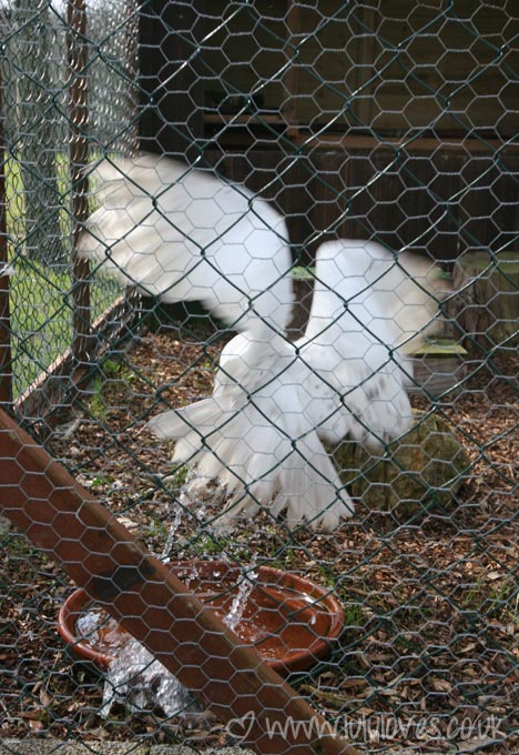 farm5