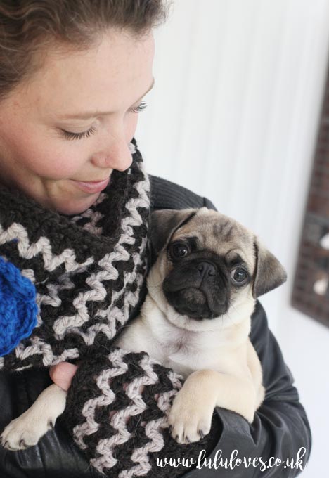 Lululoves: Crochet V-Stitch Cowl Pattern