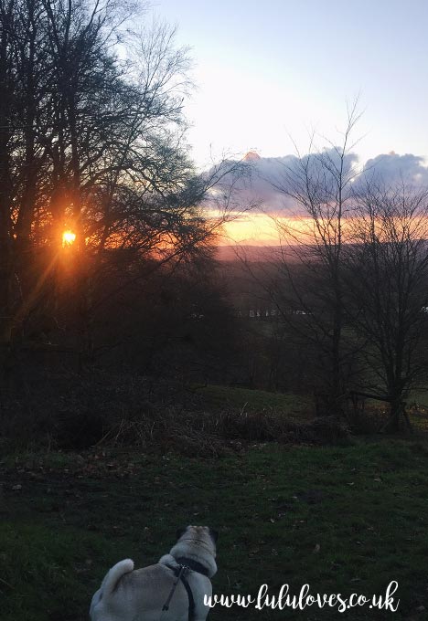 Lululoves Blog: Heavens Gate