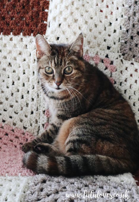 Lululoves Crochet Podcast