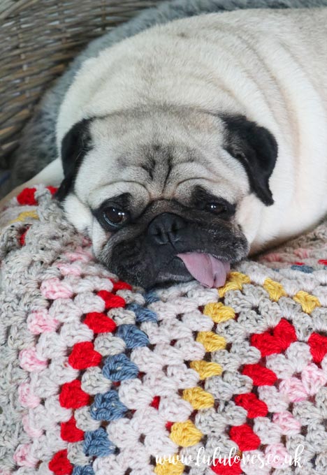 Crochet Granny Square Blanket | Lululoves Blog